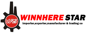 Winnhere Star Logo